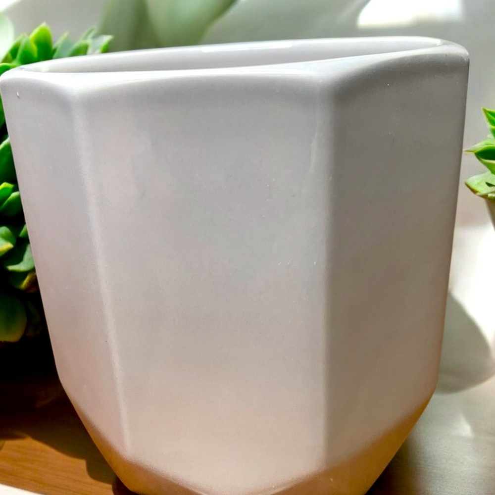 Ceramic phalaenopsis orchid planter 5”